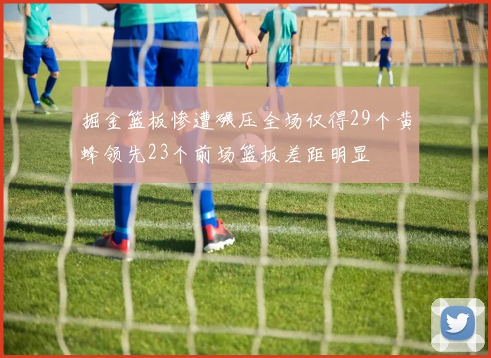 掘金篮板惨遭碾压全场仅得29个黄蜂领先23个前场篮板差距明显
