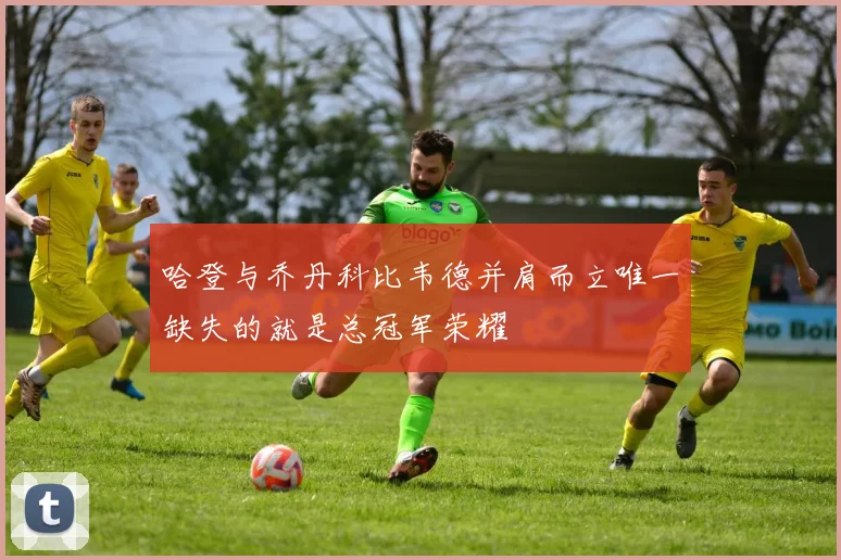 哈登与乔丹科比韦德并肩而立唯一缺失的就是总冠军荣耀