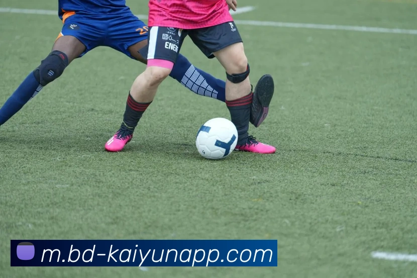 开云体育平台生态图